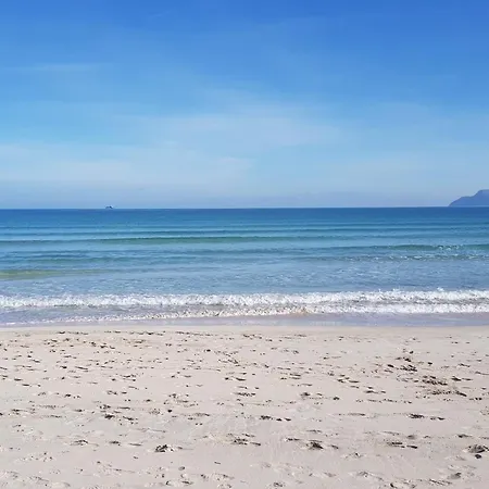Hébergement de vacances Ideal Mallorca - Didi Alcúdia